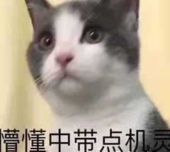 ABUIABACGAAghpHxlwYosKv4rAMw8AE48AE.jpg